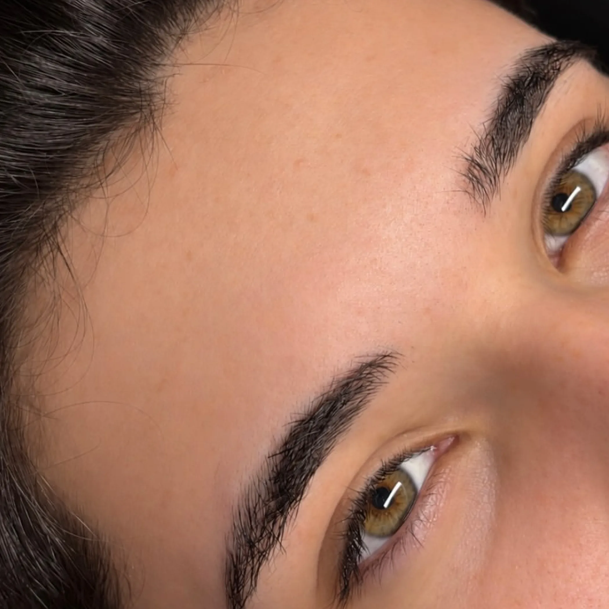 groomed men's eyebrows